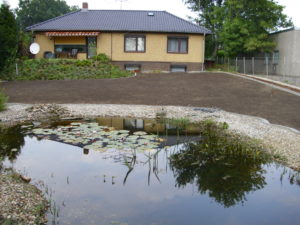 Teichbau